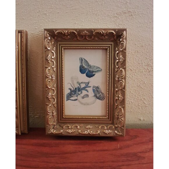 Gold Gilt Frame Wood Gesso Ornate Butterfly Print Blue Canada Vintage Set of 2 - Picture 4 of 8